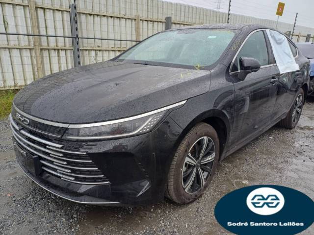 BYD KING 1.5 24/25